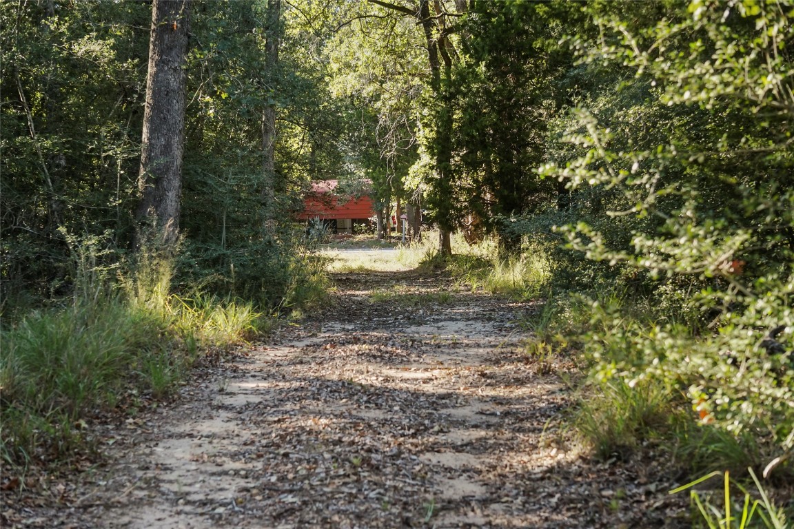 141 Morning Dove Lane Elgin, TX 78621 - Photo 4 of 40