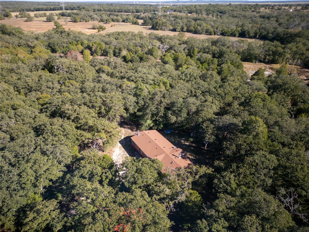 141 Morning Dove Lane Elgin, TX 78621 - Photo 5 of 40