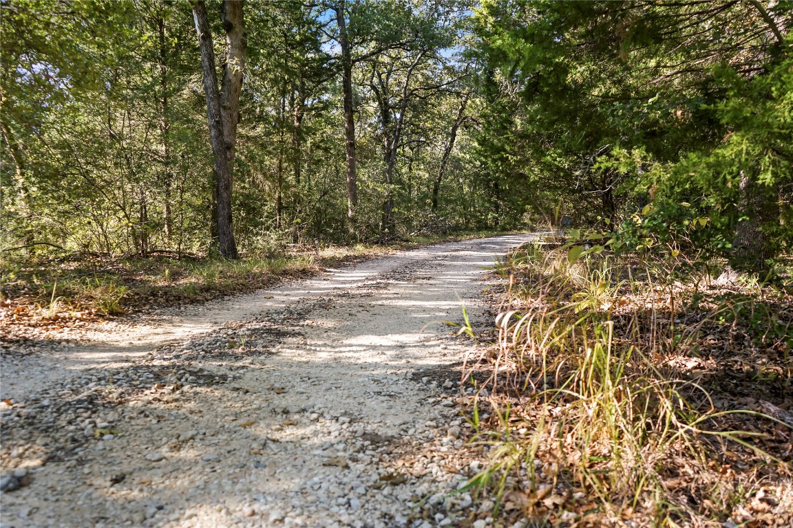 141 Morning Dove Lane Elgin, TX 78621 - Photo 6 of 40