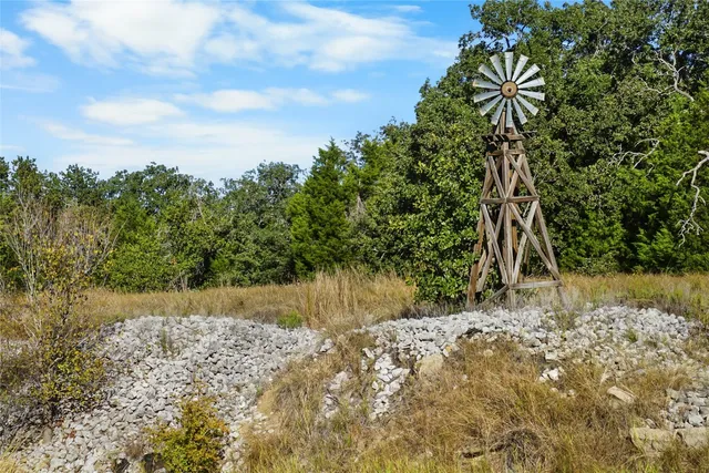 a view of a yard with plants and trees