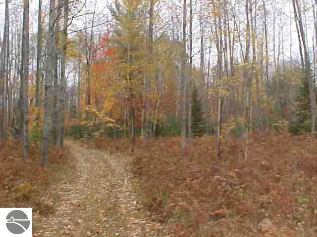 2835 South Towerline Road Turner, MI 48765 - Photo 13 of 13 1758040-12.JPG