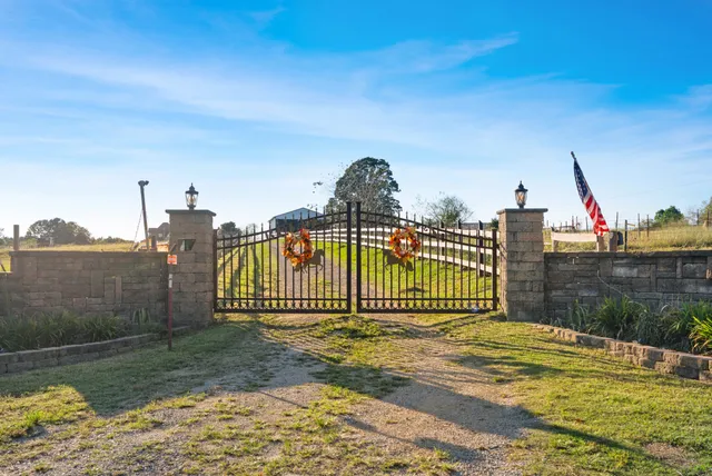 a view of a wrought iron fences