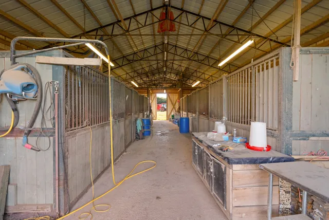 a view of a green yard with large trees