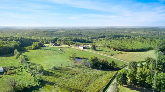 a view of a lake in middle of the forest