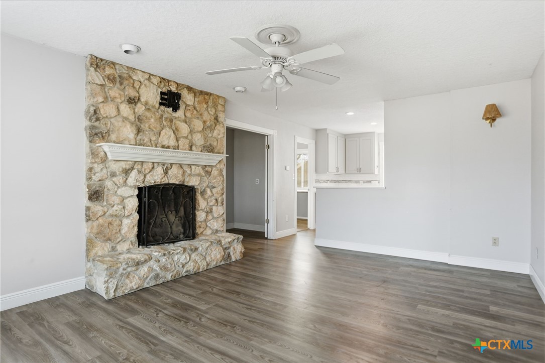 119 Primrose Drive Kyle, TX 78640 - Photo 8 of 30 a living room with a fireplace and wooden floor