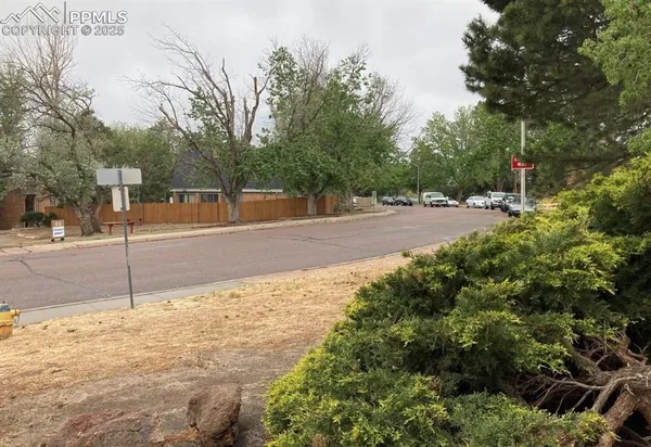 a view of a yard with plants and trees