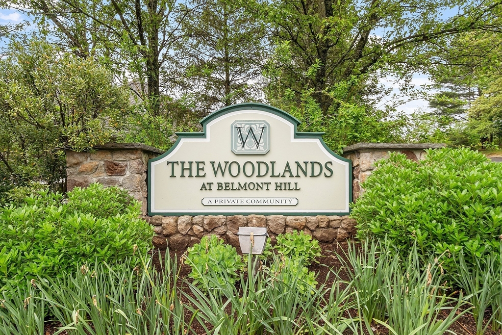 52 Summit Road, Unit 7 Belmont, MA 02478 - Photo 2 of 25