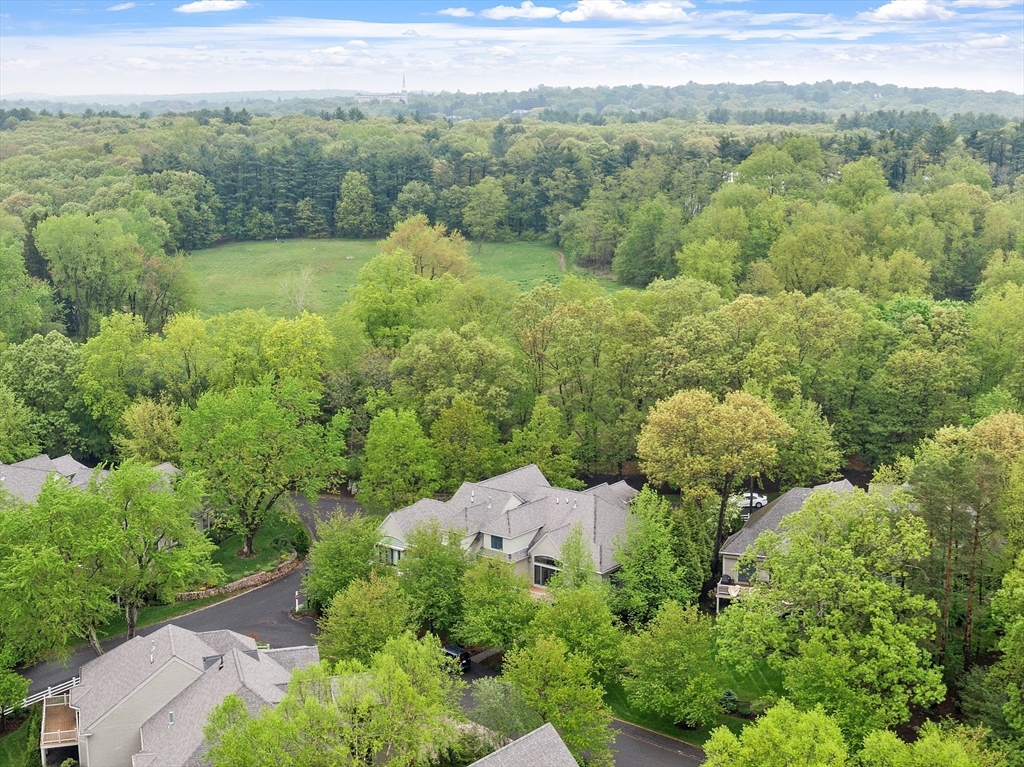 52 Summit Road, Unit 7 Belmont, MA 02478 - Photo 22 of 25