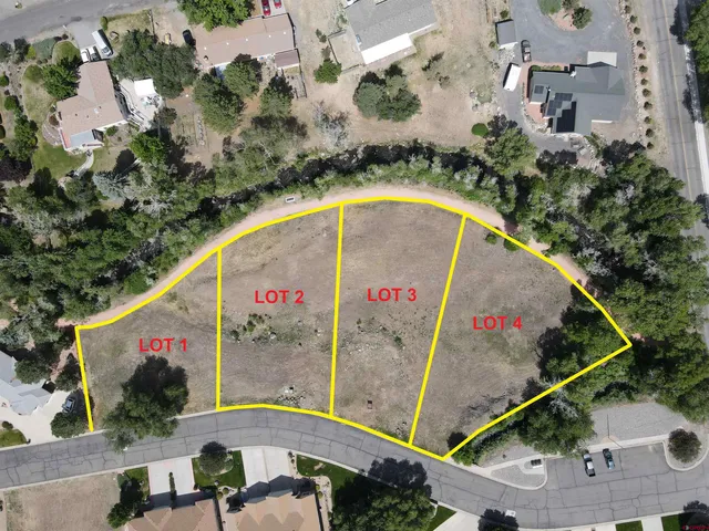 an aerial view of a swimming pool