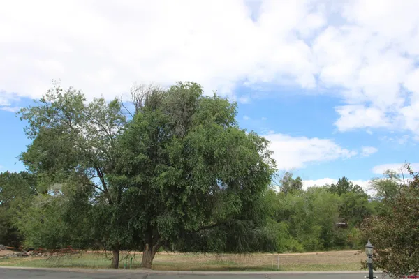 $58,000 | Lot 1-tbd Southeast Stonebridge Drive, Cedaredge, CO 81413