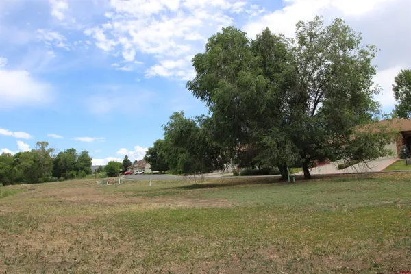 $58,000 | Lot 1-tbd Southeast Stonebridge Drive, Cedaredge, CO 81413