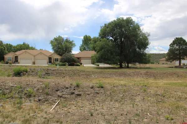 $58,000 | Lot 1-tbd Southeast Stonebridge Drive, Cedaredge, CO 81413