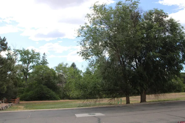 $58,000 | Lot 1-tbd Southeast Stonebridge Drive, Cedaredge, CO 81413