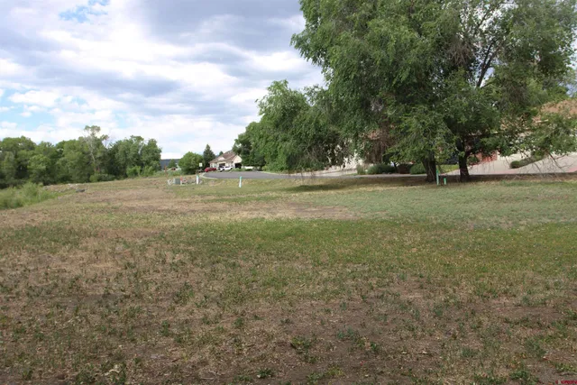 a view of a field with trees
