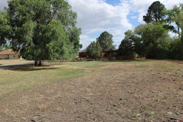 $58,000 | Lot 1-tbd Southeast Stonebridge Drive, Cedaredge, CO 81413