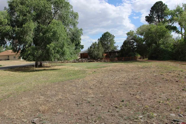 a view of outdoor space and yard