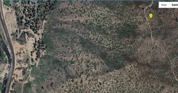 a view of a dry yard with a tree