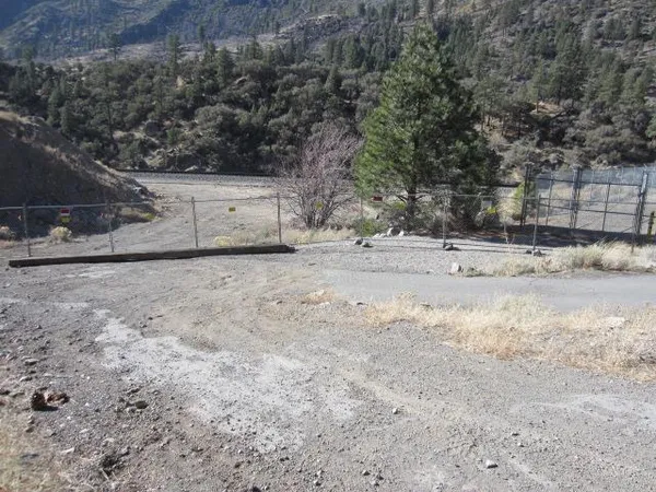 a view of a dry yard with trees