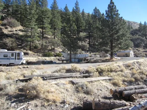 a view of a dry yard with trees in the background