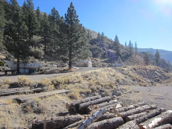 a view of a dry yard with trees