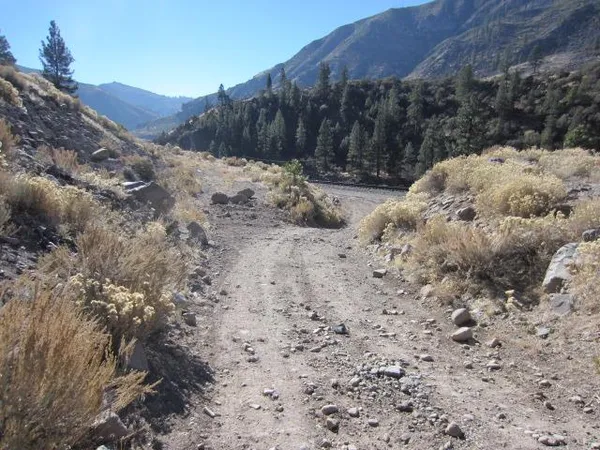 a view of a dry yard with mountains in the background
