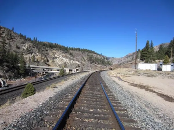 a view of a dry yard