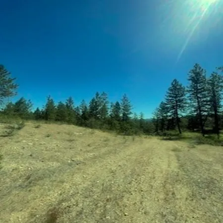 $129,500 | Lot 27 Bighorn Drive, Davenport, WA 99122