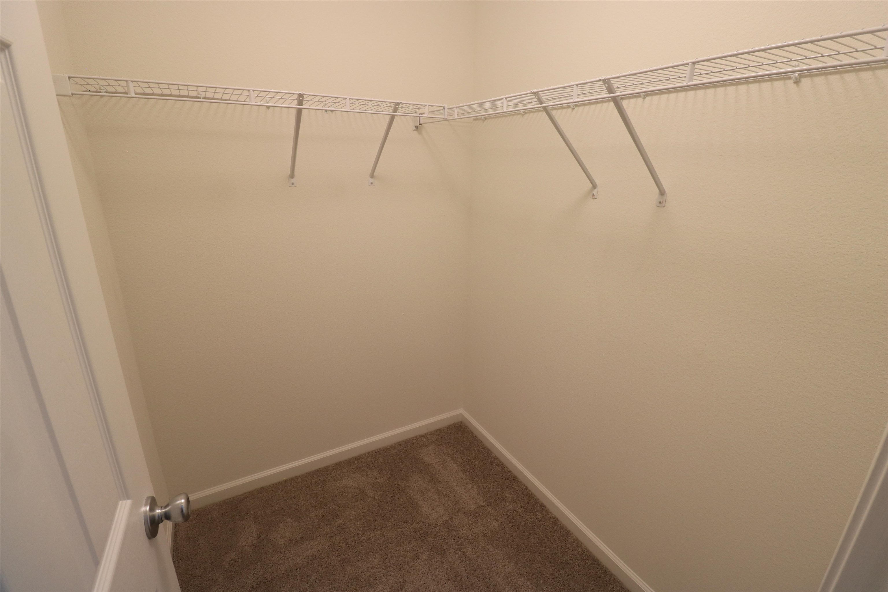 43 Mustard Hill St. Augustine, FL 32086 - Photo 13 of 25 Walk in closet with carpet
