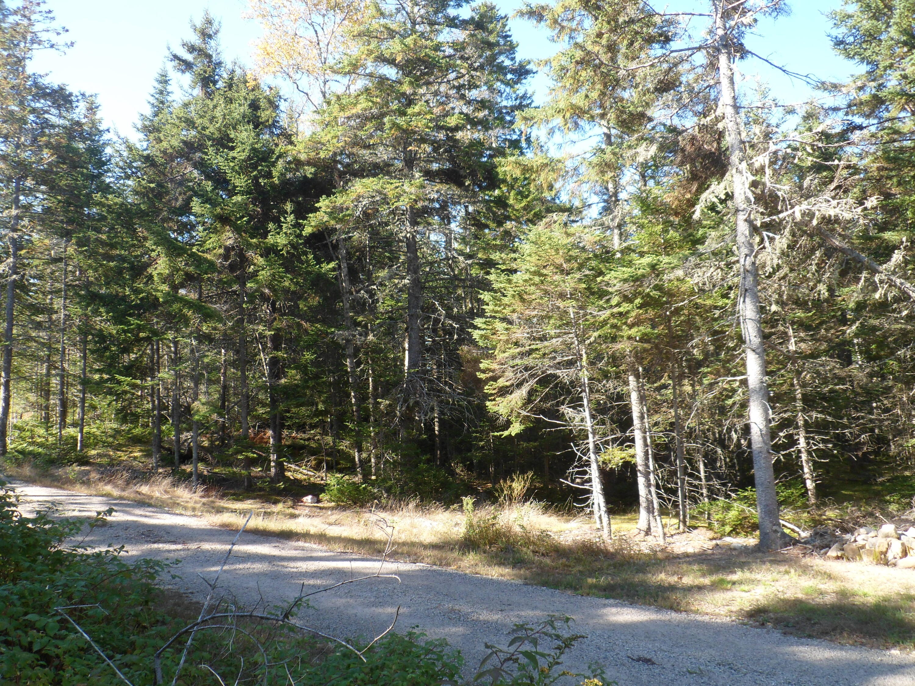 Lot 3 Pooles Hill Road Vinalhaven, ME 04863 - Photo 13 of 21 9115B410-052C-420A-9275-413428D317F7