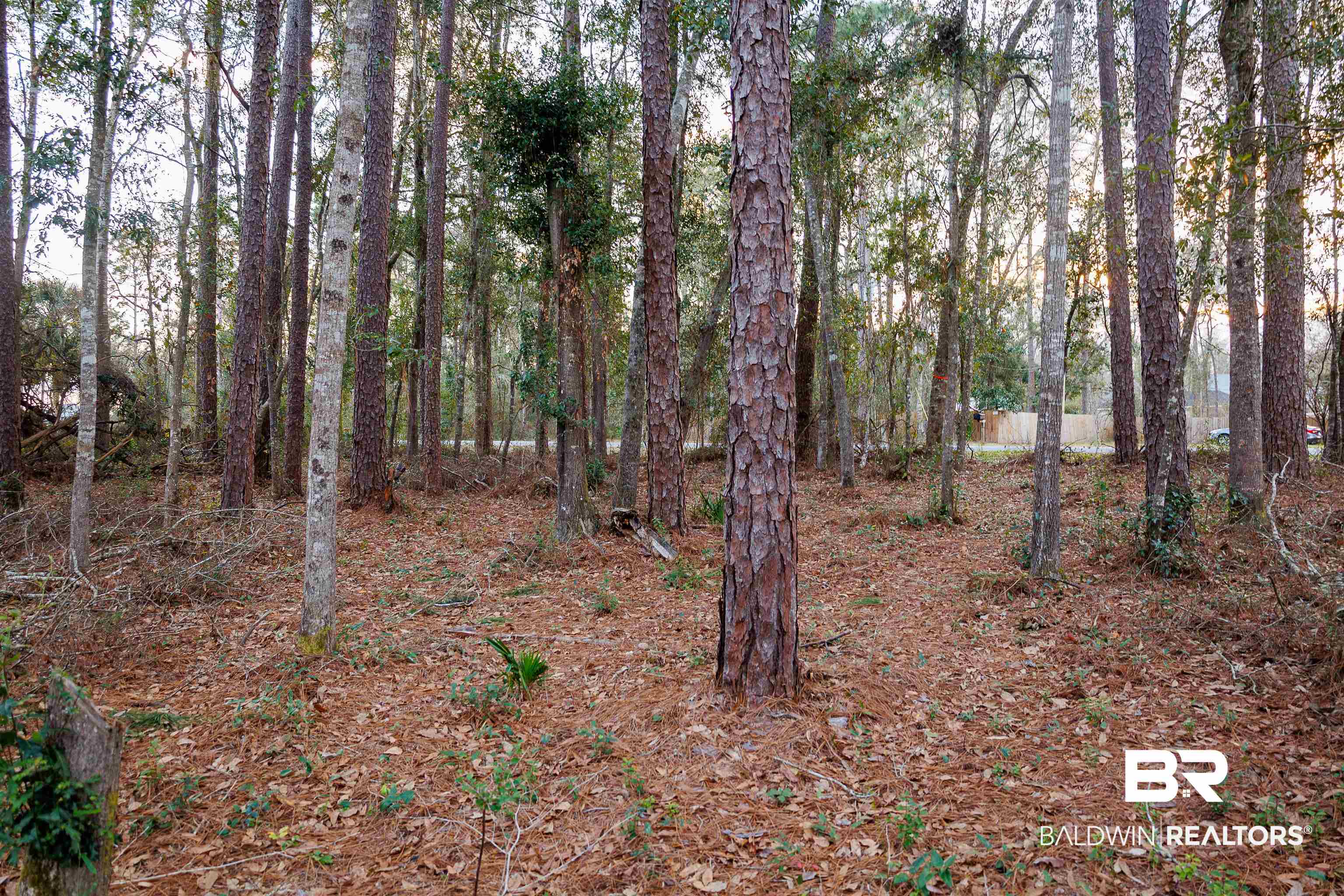 22622 Pineview Lane Foley, AL 36535 - Photo 9 of 11