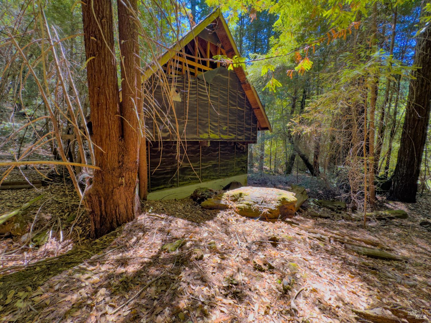 3700 Redwood Creek Road Willits, CA 95490 - Photo 2 of 12 a backyard of a house with lots of green space