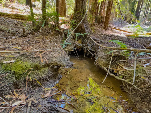 a view of an outdoor space