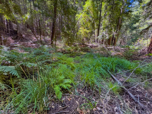 a view of outdoor space and green space
