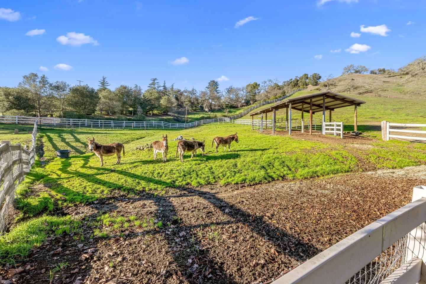 6915 Redwood Retreat Road Gilroy, CA 95020 - Photo 87 of 141
