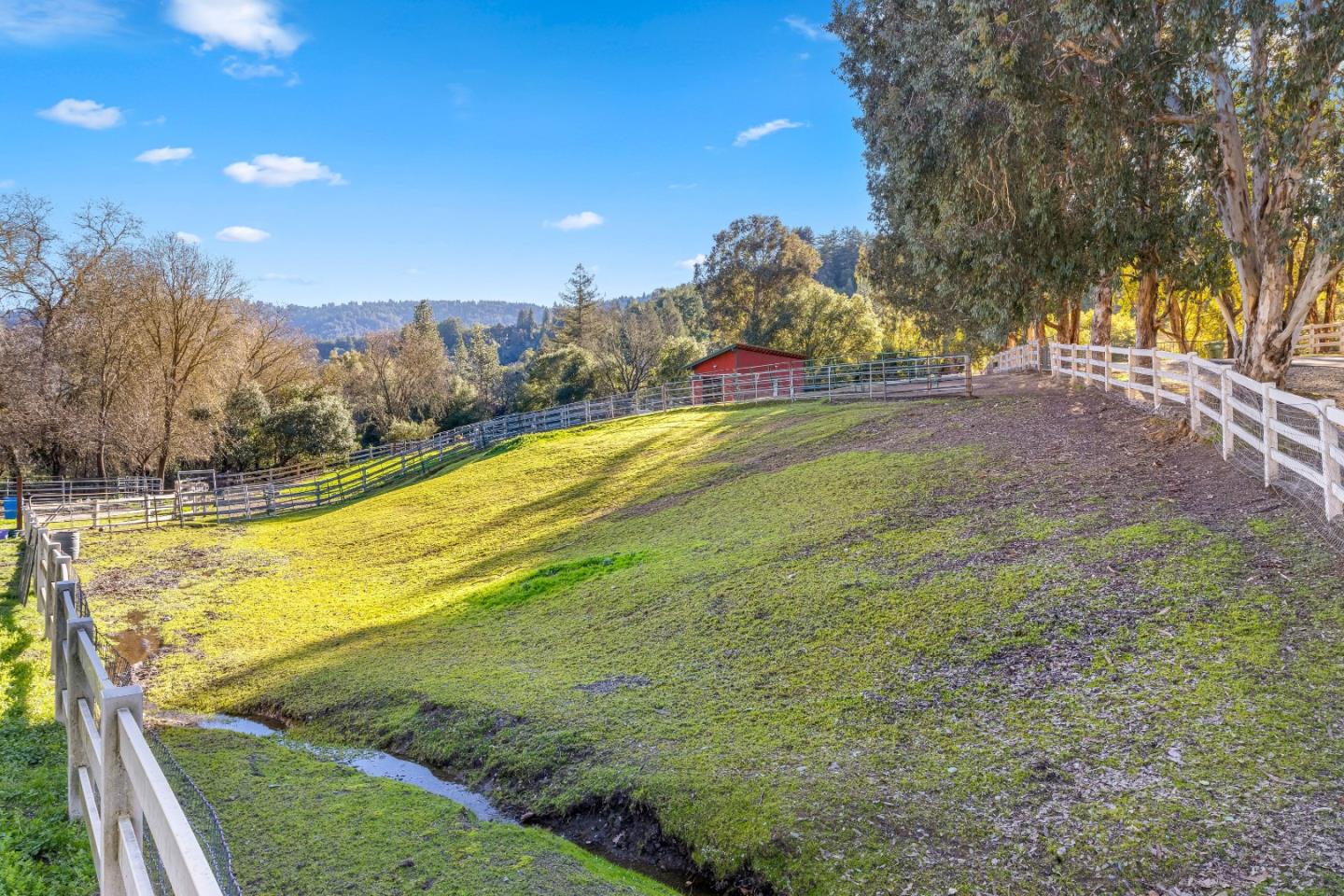 6915 Redwood Retreat Road Gilroy, CA 95020 - Photo 92 of 141 a view of yard with swimming pool and trees