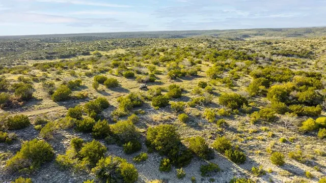 $1,316,000 | 0 Poverty Canyon Road, Robert Lee, TX 76945