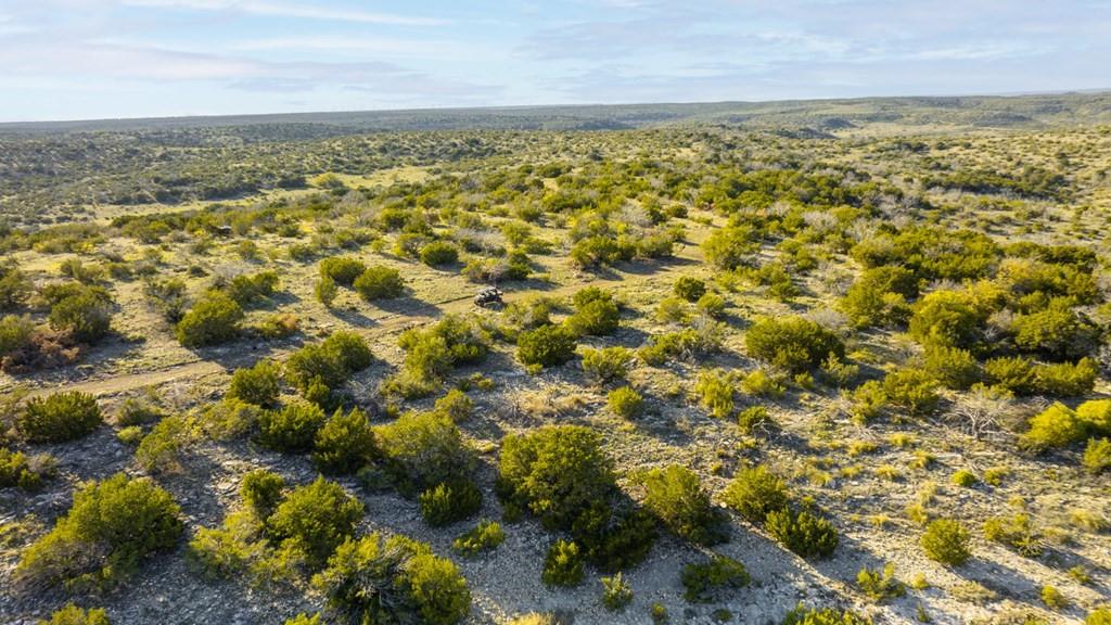 0 Poverty Canyon Road Robert Lee, TX 76945 - Photo 11 of 39 Bird's eye view