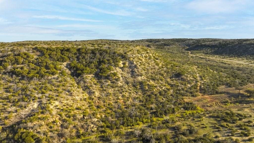 0 Poverty Canyon Road Robert Lee, TX 76945 - Photo 13 of 39 View of landscape