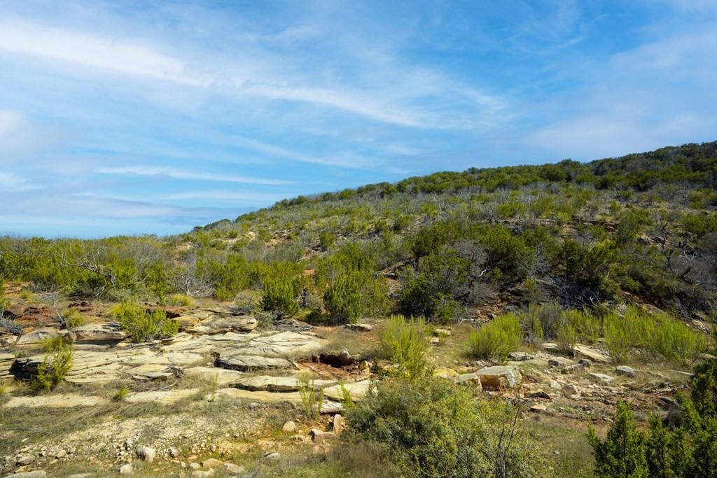 0 Poverty Canyon Road Robert Lee, TX 76945 - Photo 19 of 39 View of nature featuring a forest view