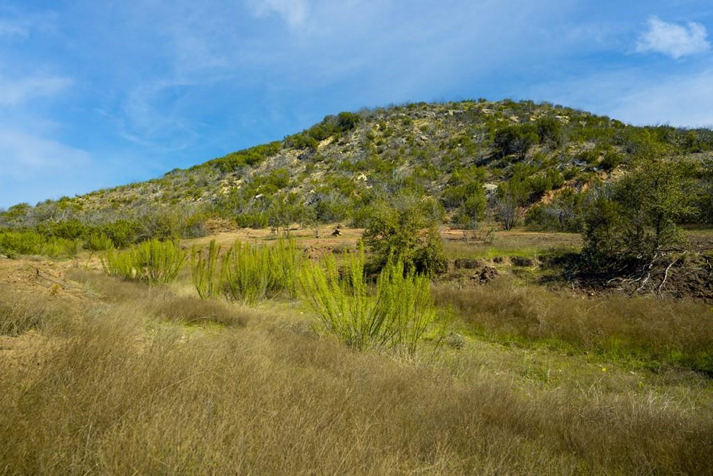 0 Poverty Canyon Road Robert Lee, TX 76945 - Photo 21 of 39 View of local wilderness featuring a mountain view