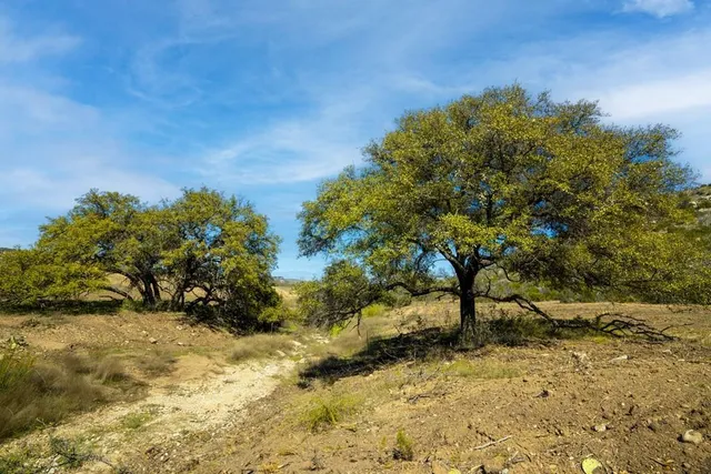 $1,316,000 | 0 Poverty Canyon Road, Robert Lee, TX 76945