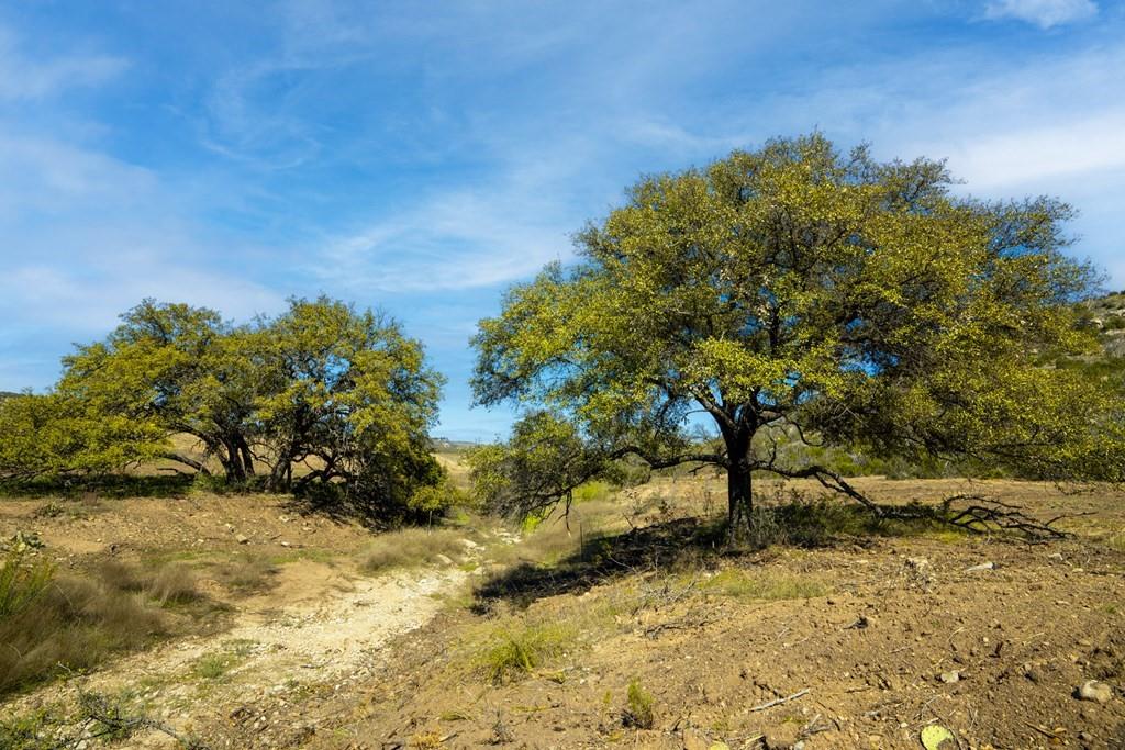 0 Poverty Canyon Road Robert Lee, TX 76945 - Photo 22 of 39 View of nature