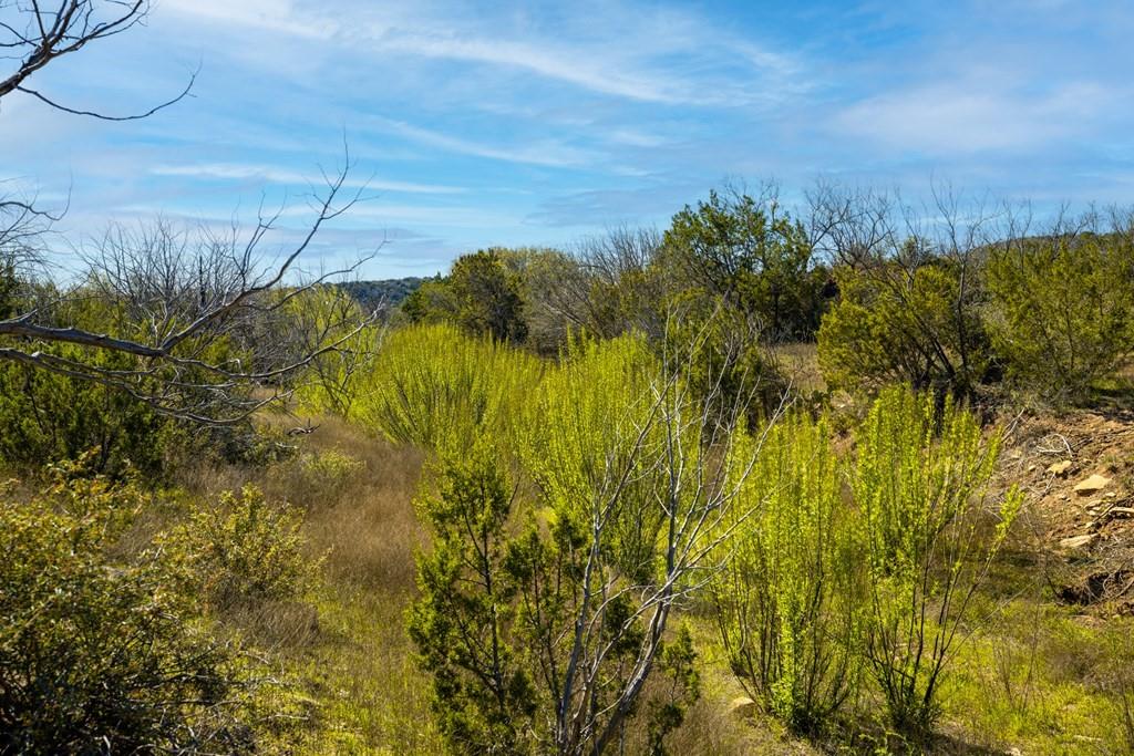 0 Poverty Canyon Road Robert Lee, TX 76945 - Photo 23 of 39 View of local wilderness featuring a wooded view