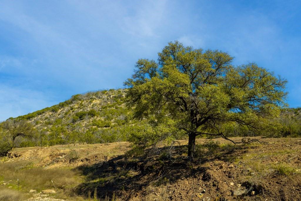 0 Poverty Canyon Road Robert Lee, TX 76945 - Photo 24 of 39 View of nature with a mountain view