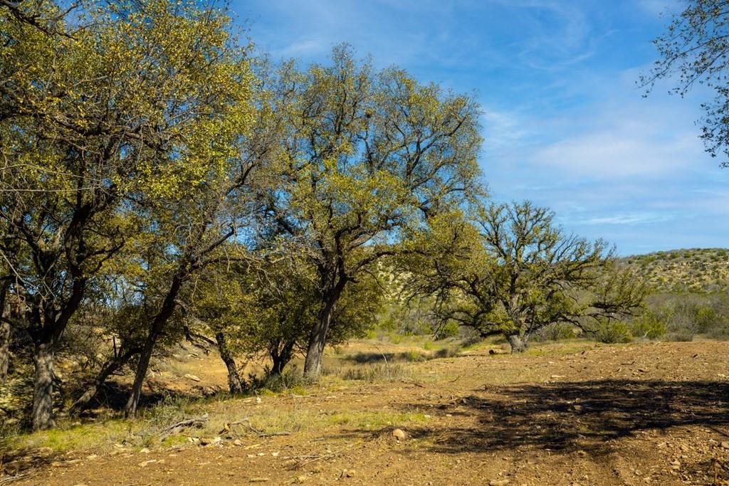 0 Poverty Canyon Road Robert Lee, TX 76945 - Photo 27 of 39 View of landscape