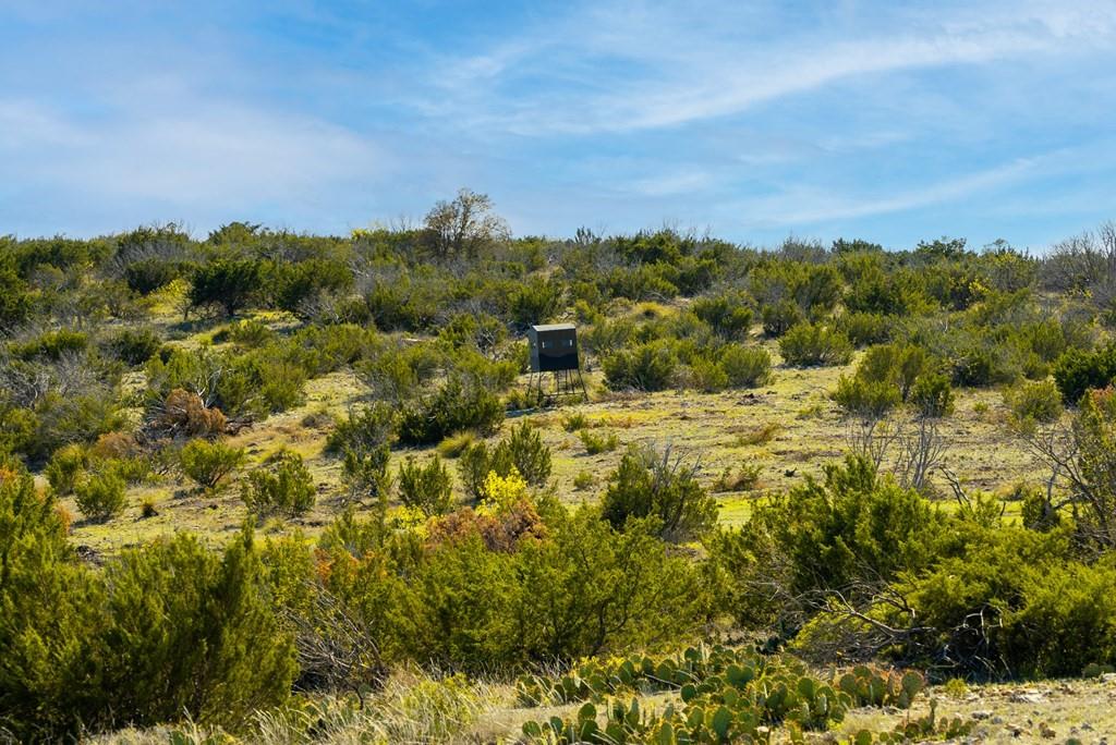 0 Poverty Canyon Road Robert Lee, TX 76945 - Photo 30 of 39 View of nature