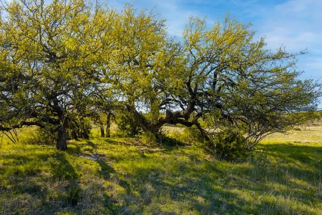 $1,316,000 | 0 Poverty Canyon Road, Robert Lee, TX 76945