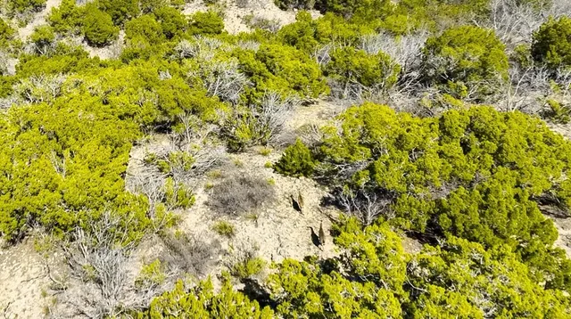 $1,316,000 | 0 Poverty Canyon Road, Robert Lee, TX 76945