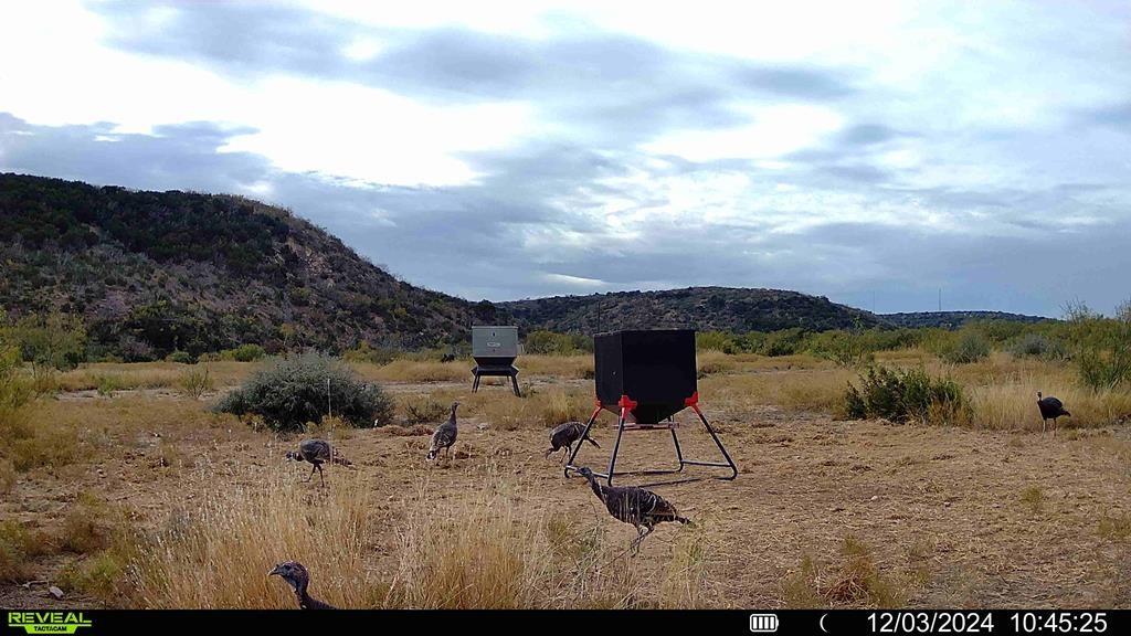 0 Poverty Canyon Road Robert Lee, TX 76945 - Photo 39 of 39 Mountain view