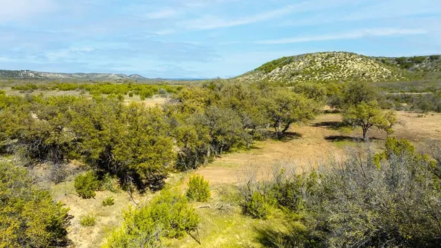 $1,316,000 | 0 Poverty Canyon Road, Robert Lee, TX 76945